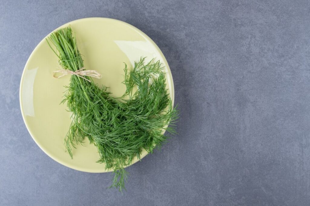 Is Dill Good for Diabetes?