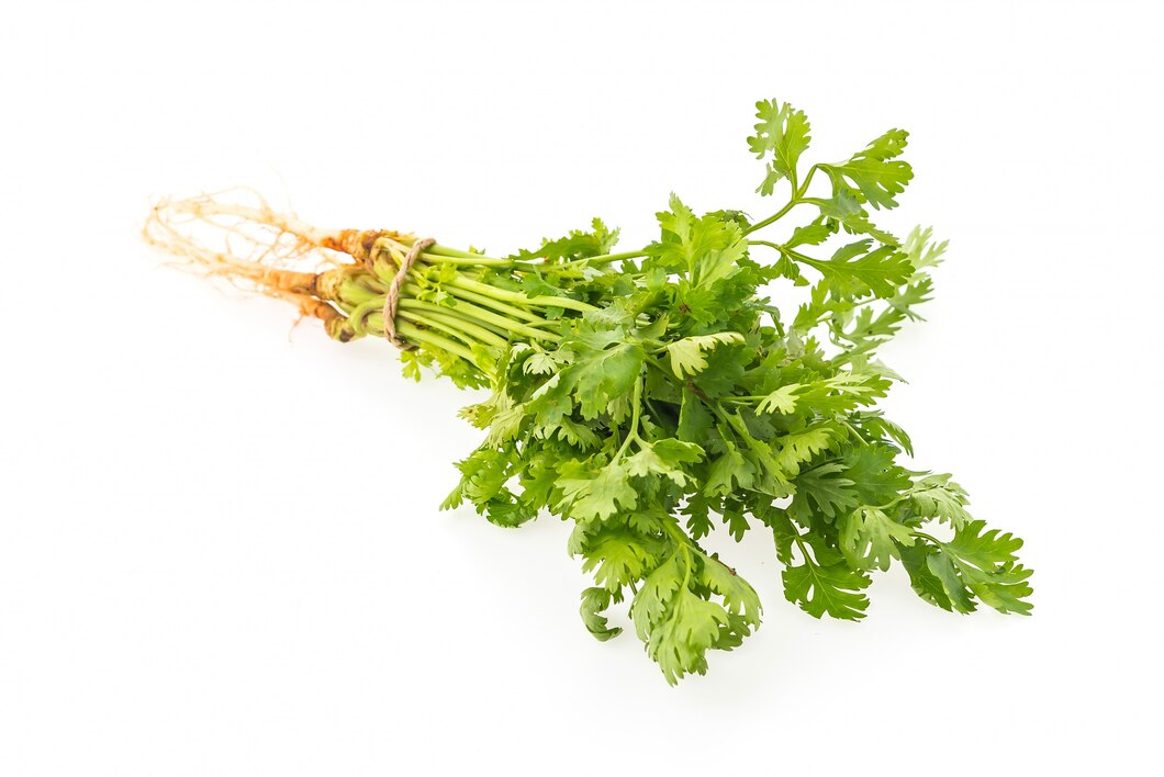 Is cilantro good for diabetes