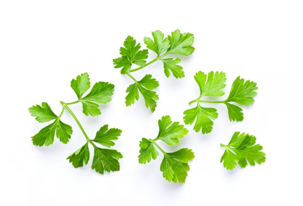 Is parsley good for diabetes